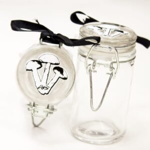 Pote de vidro Shroom